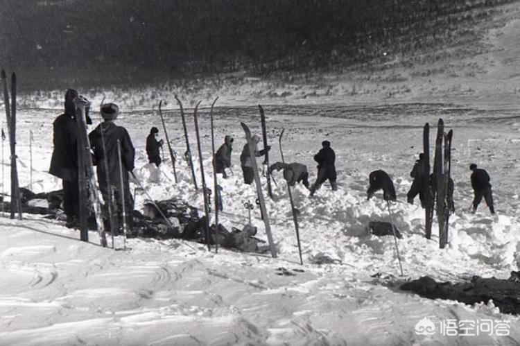 故事:河北惊现34会走路的树34,200年行走150米,记者拍下34诡异34画面