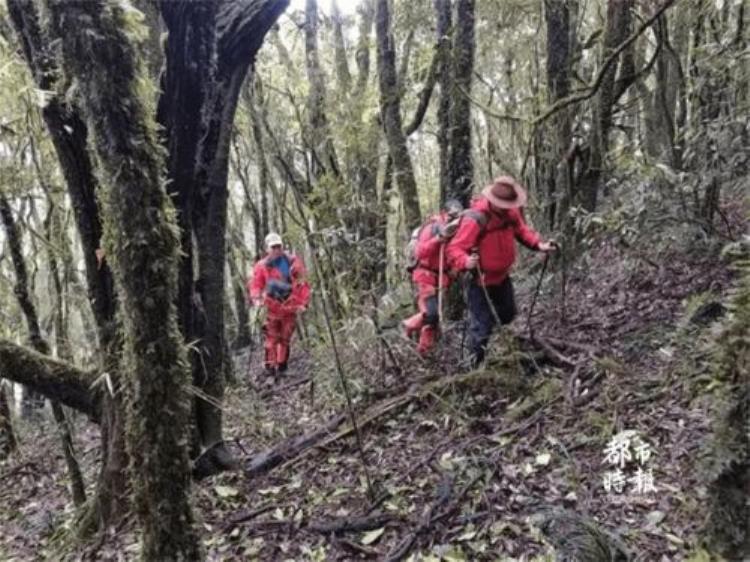 哀牢山猝死之谜,老人挖出古尸案例