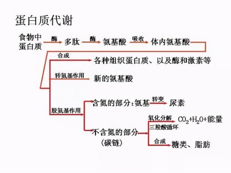 诡异的冻尸脱衣从大脑亢奋到发热脱衣最后含笑死亡