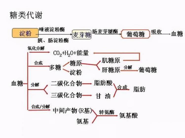 诡异的冻尸脱衣从大脑亢奋到发热脱衣最后含笑死亡