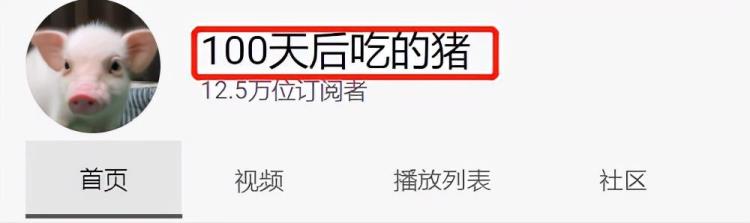 2021年奇异事件Top15世界最大的兔子被偷长着人牙的怪鱼