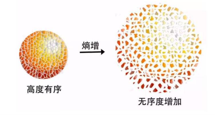 熵增定律是宇宙中最让人绝望的物理定律,熵增定律下的负熵行为