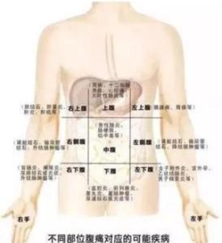 中医内科腹痛的病因病机与辨证论治分析,腹痛的中医诊断及辨证