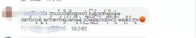 印度怀孕母象被炸死,印度怀孕母象被投喂