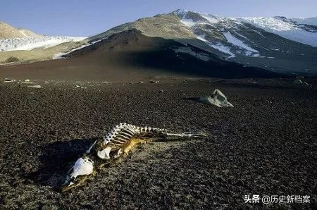 旅顺有一张50年代奇怪的照片吗,30年代旅顺老照片