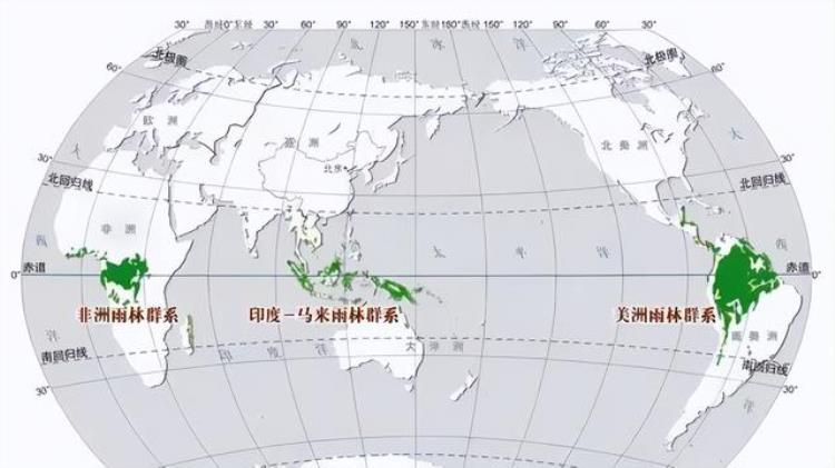 4米长蟒蛇有多重,4米长80斤重的大蟒蛇偷吃家禽