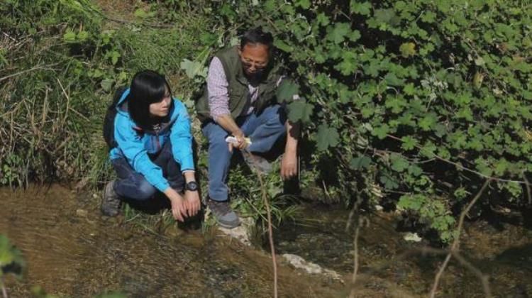 山洞出鱼故事,神秘山洞吐活鱼