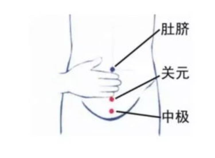 中极:保证健康与子嗣繁衍的腹地