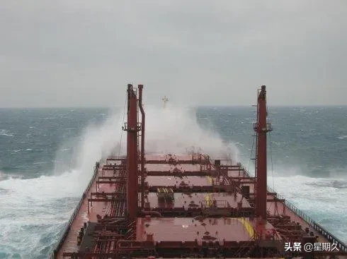 大白鲨遭海龟噎死,海滩上出现巨大大白鲨