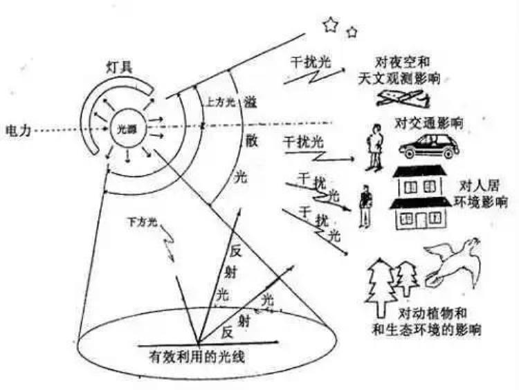 为什么大连的楼很高,大连奇景