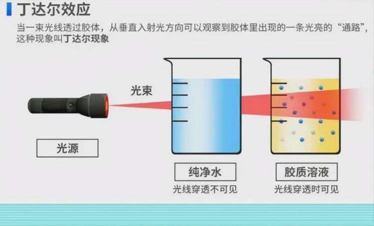 为什么大连的楼很高,大连奇景