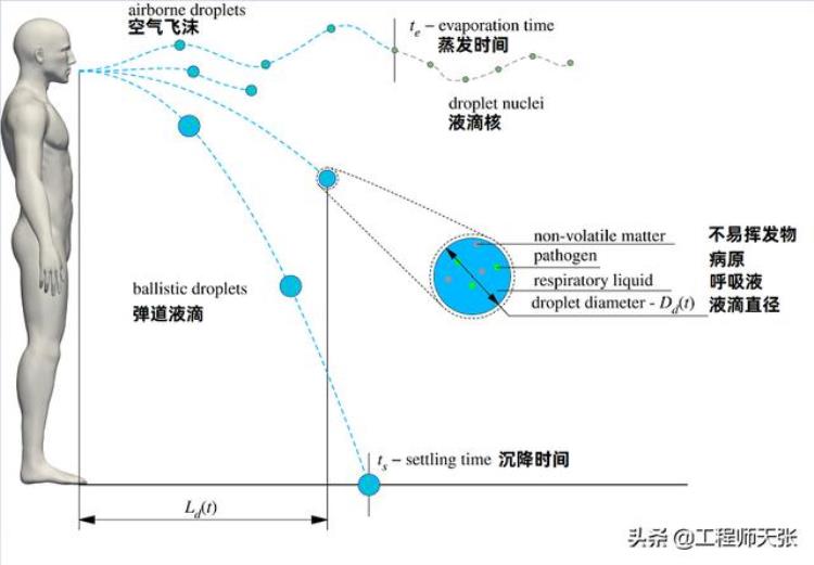 警惕山东枣庄居民挖野菜时不幸被传染新冠原来是气溶胶惹的祸