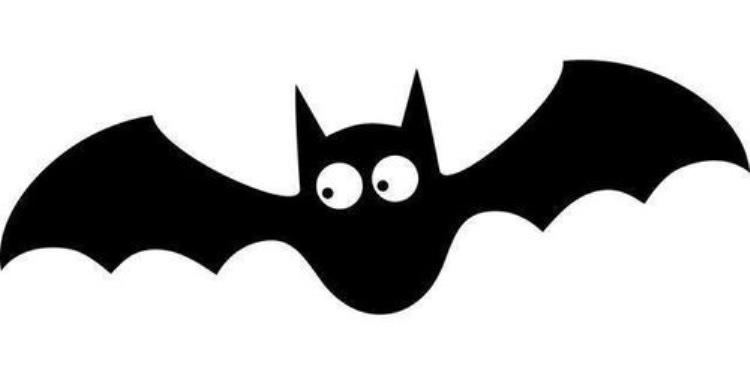 蝙蝠携带大量致命病毒,为什么自己却安然无恙,蝙蝠为什么不怕新冠病毒