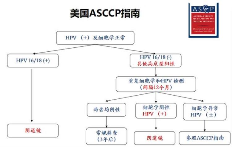 如何理解HPV持续感染,hpv持续阳性怎么办