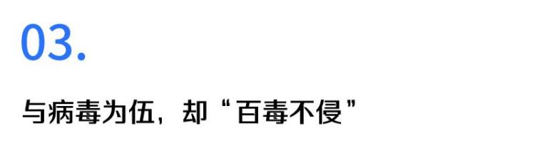 说为什么每次病毒检测都这么慢呢,病毒多久可以检测出来