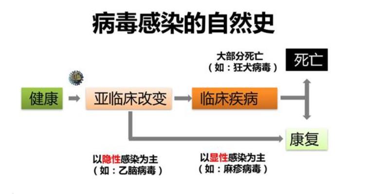 病毒是如何感染人类的,公共卫生措施阻断病毒