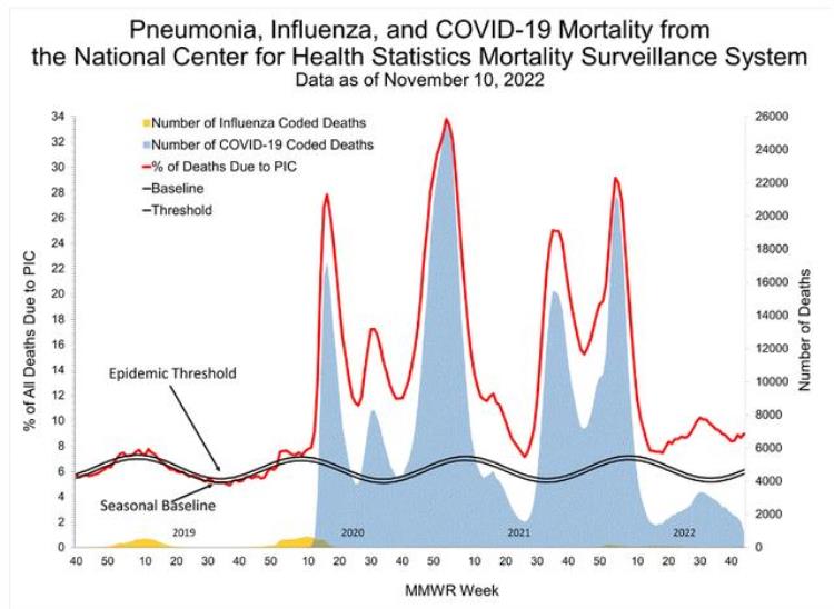 流感 死亡人数 美国,2019年美国大流感死亡人数