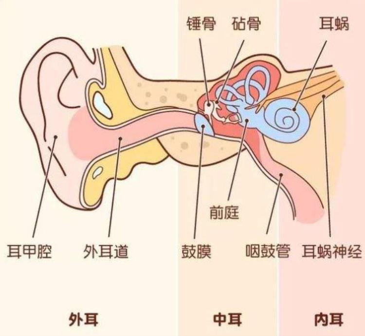 故事:非洲小伙眼睛会喷水,可持续10分钟喷4米远,他的身体有何不同