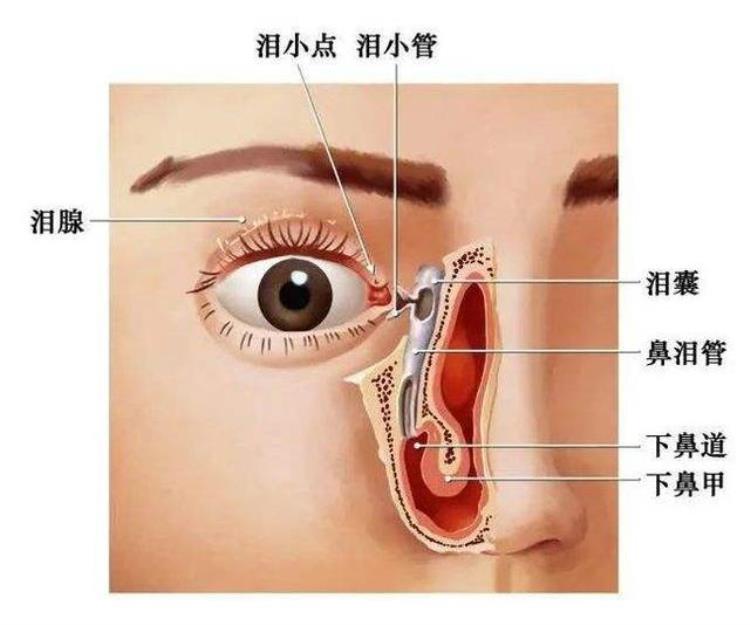 故事:非洲小伙眼睛会喷水,可持续10分钟喷4米远,他的身体有何不同