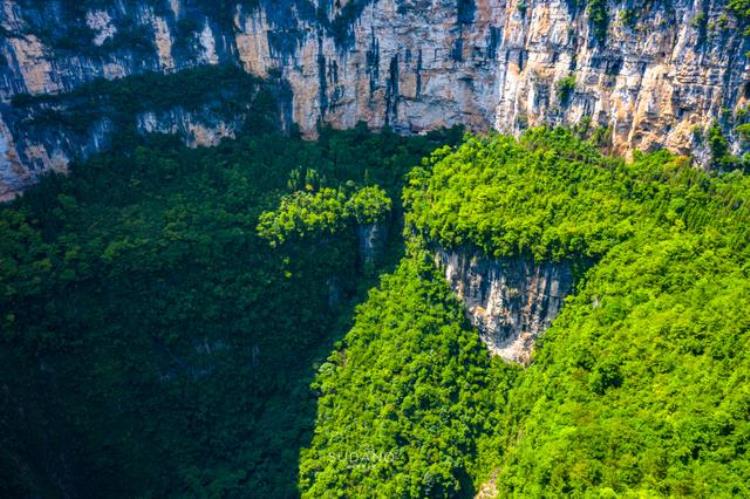 重庆奉节发现外星人的地球工厂科研人员世界最大漏斗天坑