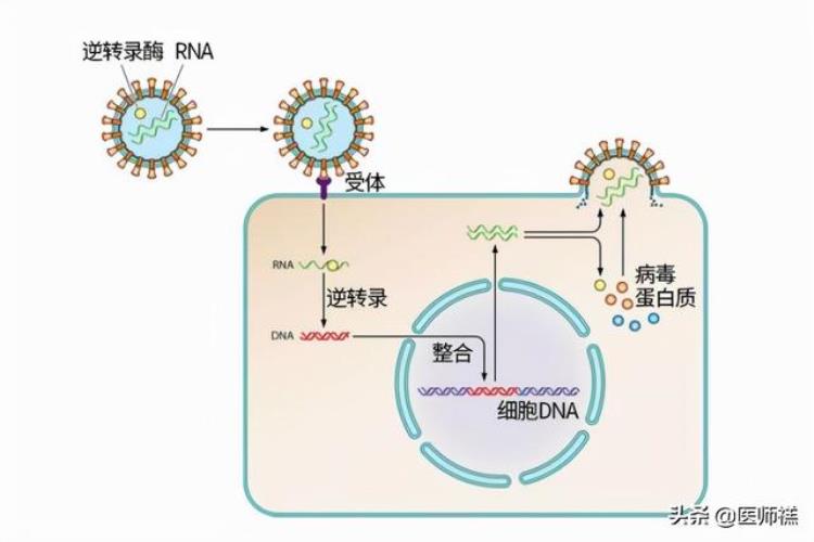 抗逆转录病毒药最后的后悔药医生要你明白不要抗拒请坚持服用