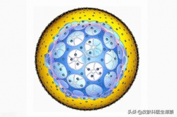 生殖疱疹的症状和治疗百度百科,生殖器疱疹中医治疗