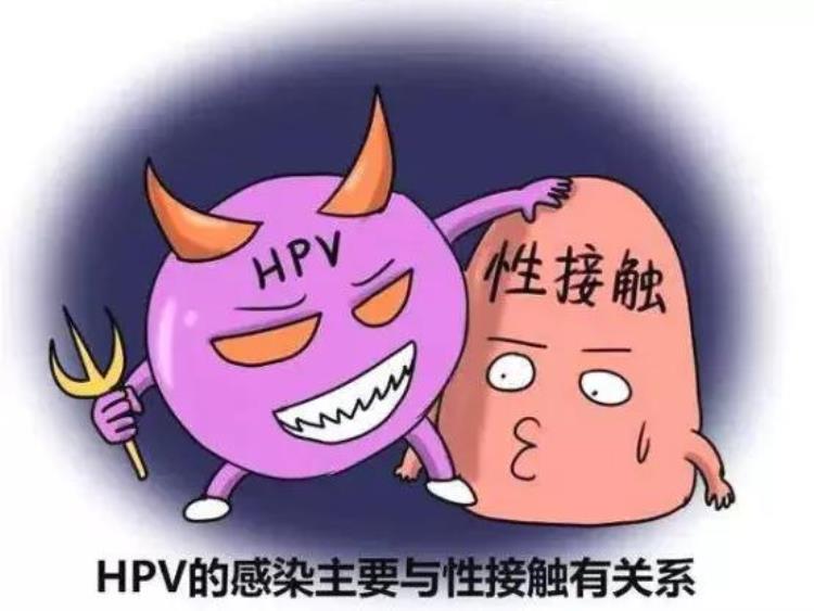 hpv会通过什么途径感染,预防hpv感染最佳途径