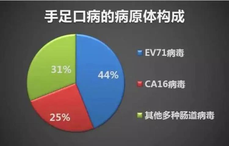 带你认识它手足口病疫苗是什么,手足口疫苗打哪里