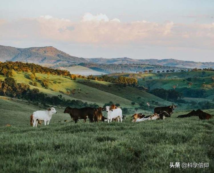 病毒 不是生物,病毒地球