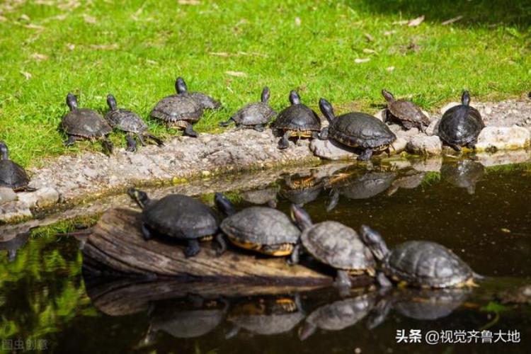 莒县露底湖的传说,莒县唐家湖来历