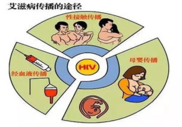 艾滋病是从何而来,关于艾滋病最新的文章