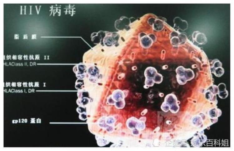 中国出现琅琊病毒为什么新病毒越来越多,sars病毒和新冠病毒