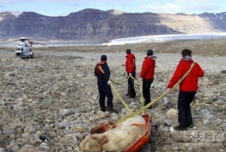 全球动物袭人事件美女遭猴当众扒光