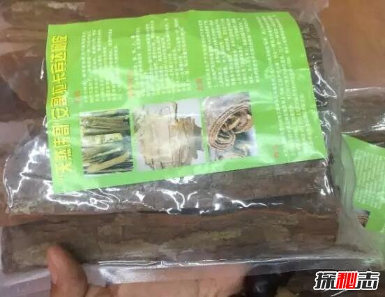 安哥拉树皮女人管用吗，男女通用的纯天然壮阳药