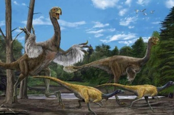 恐龙的演变过程图，槽齿类爬行动-恐龙-鸟类（灭绝加速人类进化）