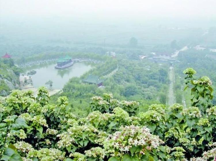 巨野旅游景点哪里好玩,山东巨野县自驾游