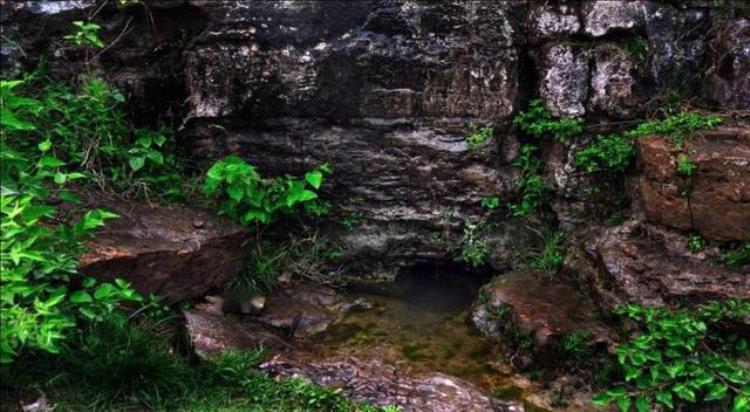 巨野旅游景点哪里好玩,山东巨野县自驾游