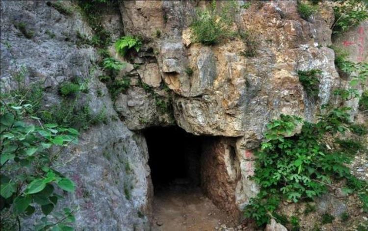 巨野旅游景点哪里好玩,山东巨野县自驾游