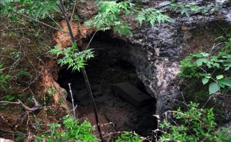 巨野旅游景点哪里好玩,山东巨野县自驾游