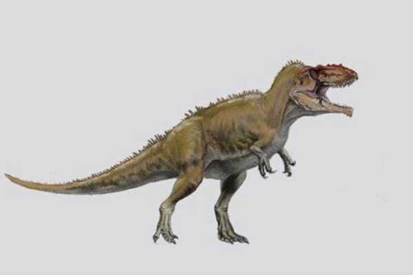 山阳龙：中国小型食肉恐龙（长2.5/距今6500万年前）