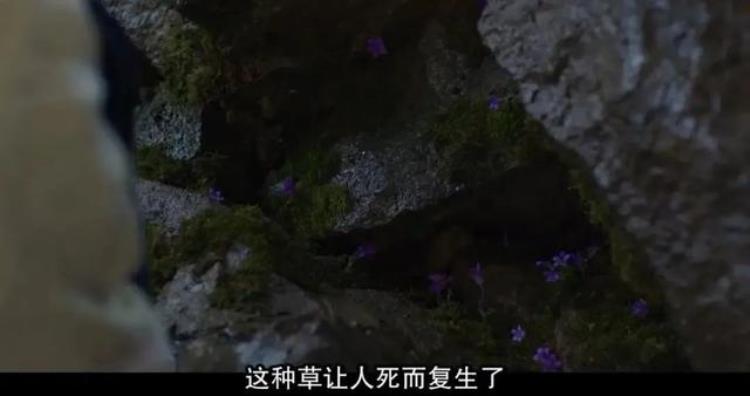 李尸朝鲜第二季解析,李尸朝鲜第一季1080p