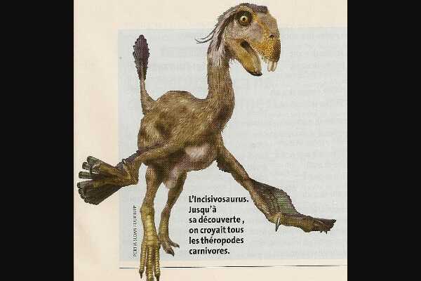 巨型植食恐龙:朱特龙 体长15-20米(发现于英国怀特岛)