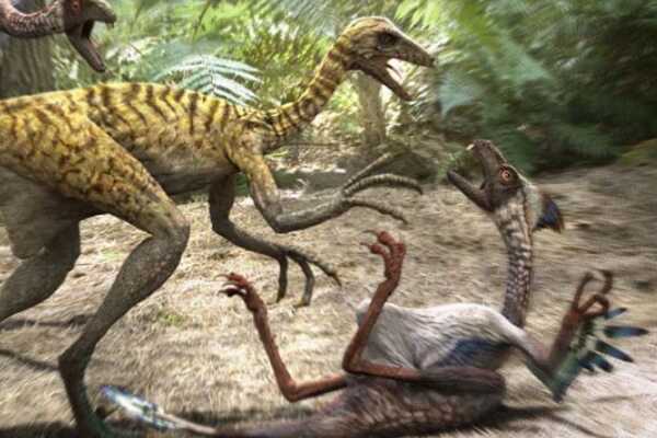 巨型植食恐龙:朱特龙 体长15-20米(发现于英国怀特岛)