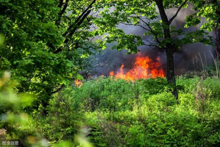 凉山火灾消防员是什么原因导致他们死亡,四川凉山30名消防为救火而牺牲