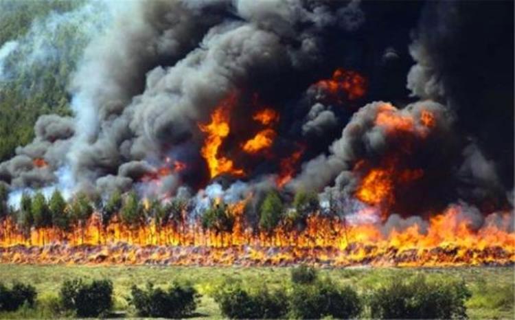 凉山西昌森林火灾为何会致19人牺牲,四川西昌森林大火致多少人牺牲