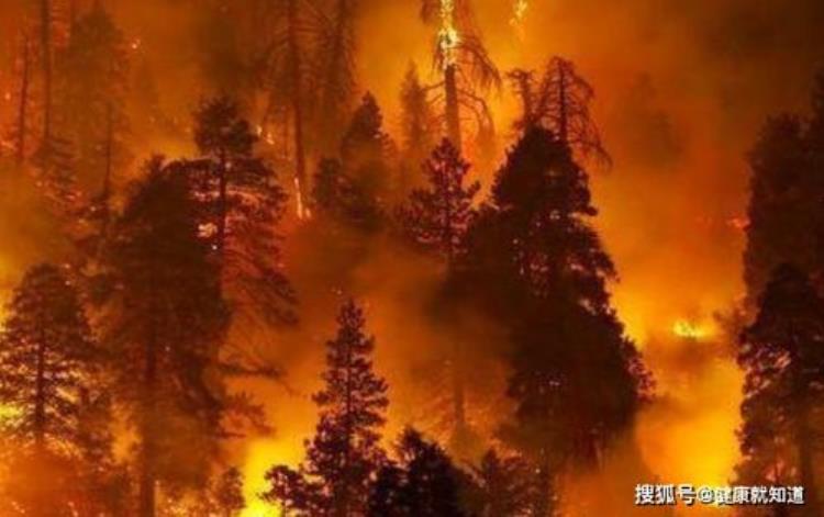 凉山西昌森林火灾为何会致19人牺牲,四川西昌森林大火致多少人牺牲