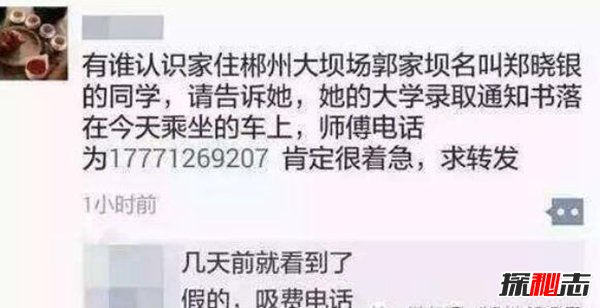 为什么波兰产琥珀?你不知道的波兰十大趣事