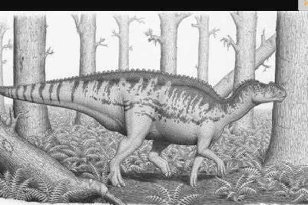 三叠纪恐龙:哥打龙 体长9米(最早期的蜥脚类恐龙)
