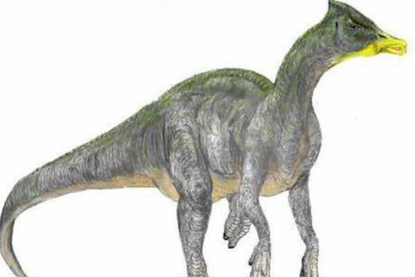 利迈河龙:南美巨型植食恐龙(体长17米/出土多批化石)