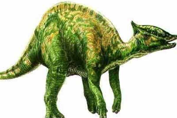 利迈河龙:南美巨型植食恐龙(体长17米/出土多批化石)